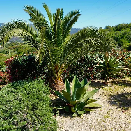 Casalina